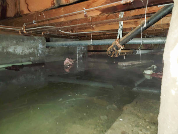 Best Commercial water damage restoration  in Rio Del Mar, CA