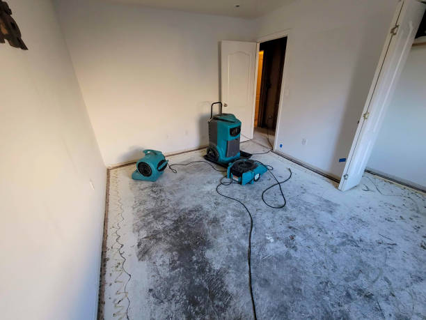 Best Basement water damage restoration  in Rio Del Mar, CA