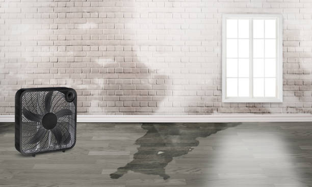 Best Fire Damage Restoration  in Rio Del Mar, CA